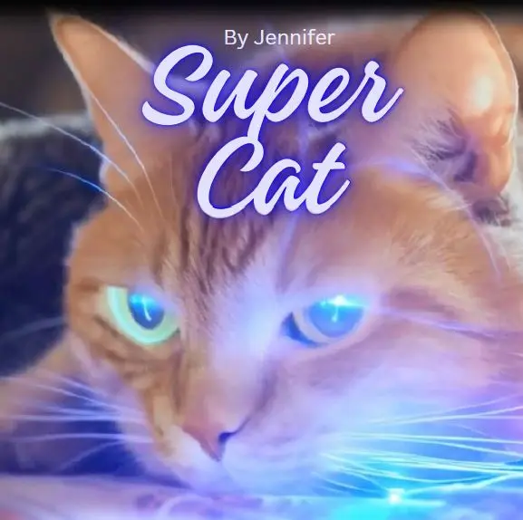 Super Cat, Cute Cat, Lovely Cat, Funny Cat, Superhero